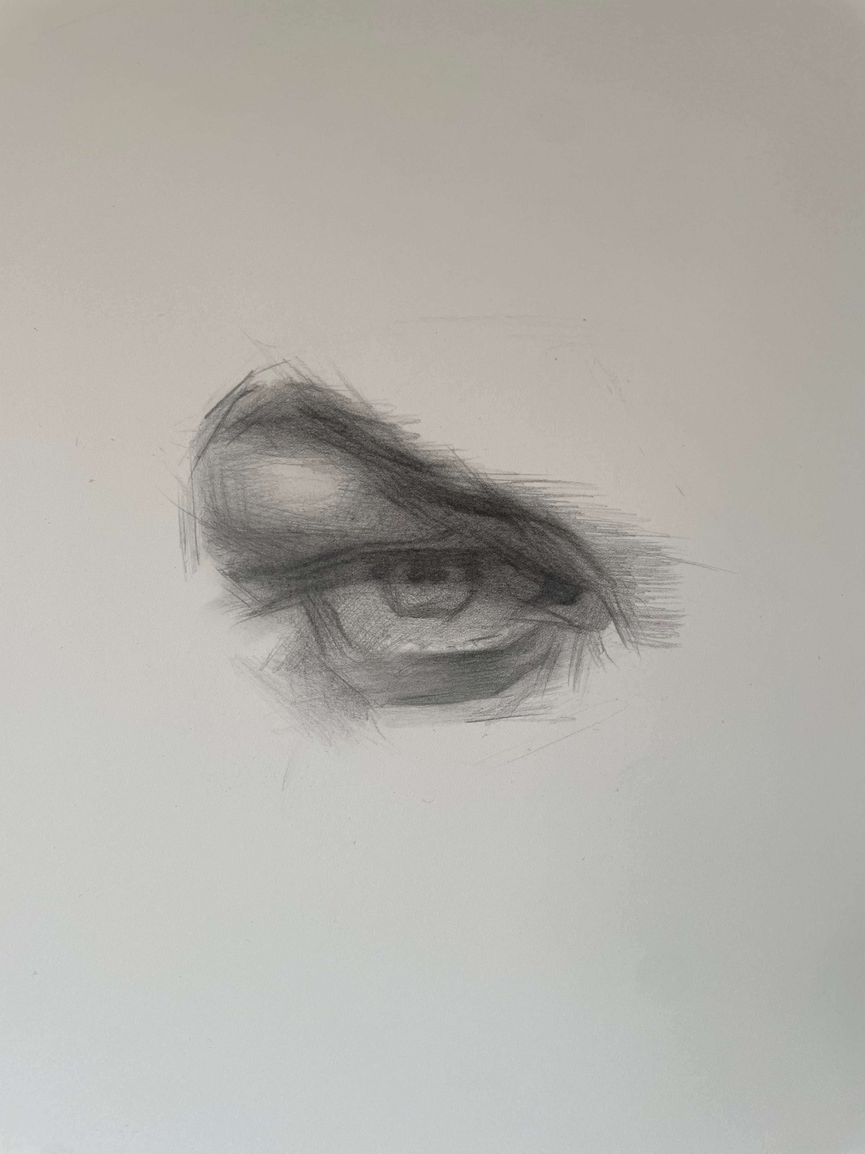 Eye